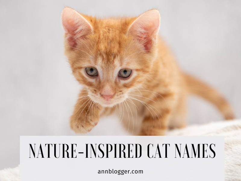 Nature-Inspired Cat Names
