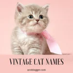 vintage cat names